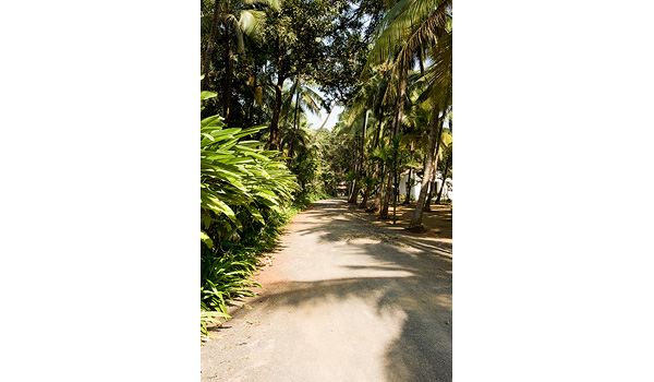 Click image to enlarge