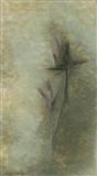Black Lillies - Jehangir  Sabavala - Auction December 2005