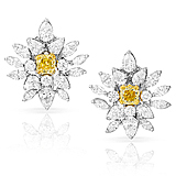 A PAIR OF COLOURED DIAMOND AND DIAMOND EAR CLIPS -    - Auction of Fine Jewels & Watches