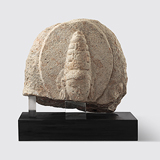 Stone Head - Surya -    - Indian Antiquities & Miniature Paintings