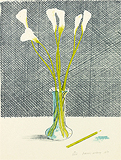 The Lilies - David  Hockney - Impressionist and Modern Art Auction