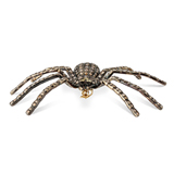 A COLOURED DIAMOND 'SPIDER' PIN -    - The Gentleman's Sale