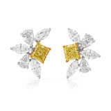 A PAIR OF COLOURED DIAMOND EAR CLIPS -    - Online Auction of Fine Jewels and Silver