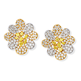 COLOURED DIAMOND AND DIAMOND EARCLIPS -    - Fine Jewels and Watches