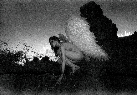Flight from The Fallen Angel Series