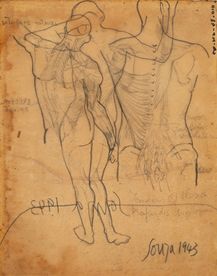 Untitled (Anatomy Study) verso; Untitled recto