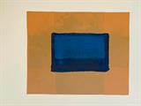 Indian View - Howard  Hodgkin - The Collector`s Eye