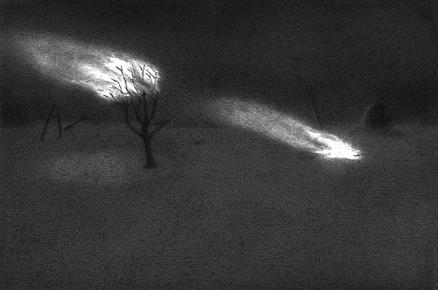 Untitled- 23, Night Forest Series