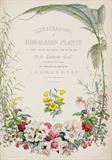 Illustrations of Himalayan Plants chiefly selected from Drawings made for the late J.F. Cathcart Esq. of the Bengal Civil Service - Sir Joseph Dalton Hooker - Antiquarian Books: In Pursuit of the Picturesque