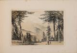 Views in the Himalaya and Neilgherry Hills, from drawings by Lieut.-Colonel Fullerton, 9th Queen’s Royal Lancers. Taken during the years 1845-46-47 - Lieutenant Colonel  James Alexander Fullerton - Antiquarian Books: In Pursuit of the Picturesque