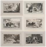Interesting selections from animated nature, with illustrative scenery; Designed and engraved by William Daniell [2 volumes] - William  Daniell - Antiquarian Books: In Pursuit of the Picturesque