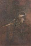 Untitled (Bird on Tree) - Abanindranath  Tagore - Summer Online Auction