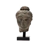 Head of Buddha -    - Antiquities Auction