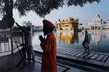 Devotee at the Golden Temple, Amritsar - Steve  McCurry - Winter Online Auction