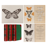 The Butterflies of India, Burmah and Ceylon [3 Volumes] - Major George F L Marshall and Lionel De Niceville - Passages to India: A Journey Through Rare Books, Prints, Maps, Photographs, and Letters