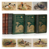 Books on Ornithology [Set of 2] - Stuart Baker, Allan Hume and Marshall - Passages to India: A Journey Through Rare Books, Prints, Maps, Photographs, and Letters