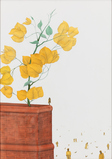 The Yellow Bougainvillea Flower - Phaneendra Nath Chaturvedi - Contemporary South Asian Art