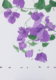 The Purple Bougainvillea Flower - Phaneendra Nath Chaturvedi - Works on Paper and Books