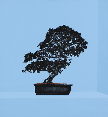 Sunachuri Tree SUNOJ D. - We proudly plant tree (to own) @ | StoryLTD
