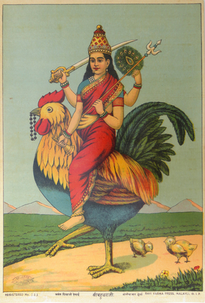 SHREE BAHUCHRAJI