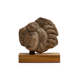 Head -   - From Classical to Contemporary