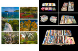 Assorted Vintage Reference Materials - F N Souza's Studio - Summer Online Auction