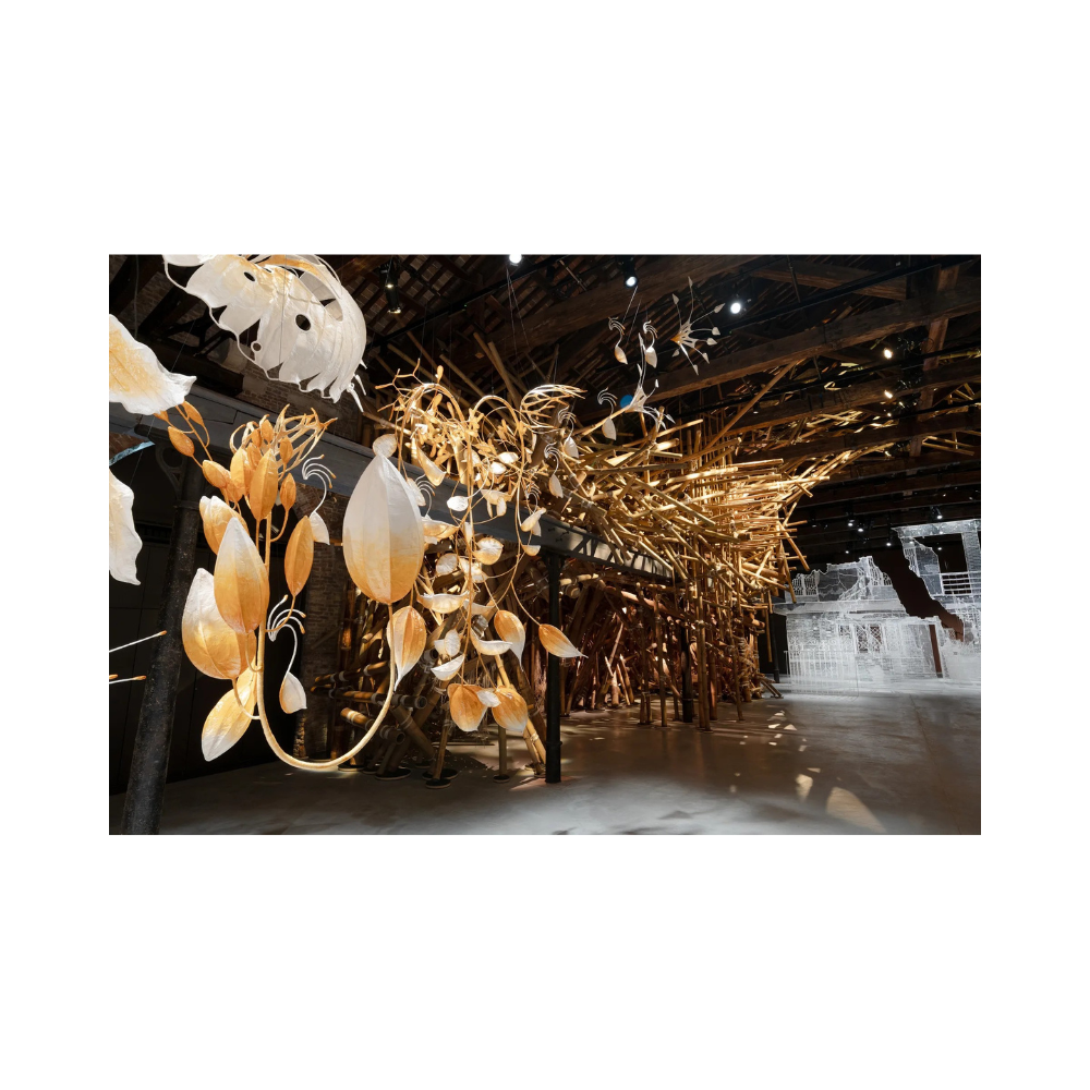 An Insider’s Guide to The Venice Biennale 2026